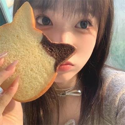 监察局长