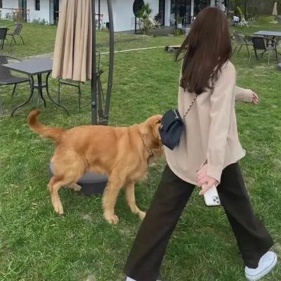 重访